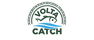 VOLTA CATCH